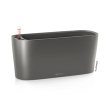 Lechuza Delta 10 Charcoal Self-Watering Planter