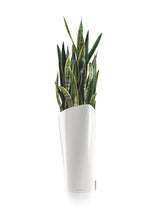 Lechuza Delta 40 White Self-Watering Planter