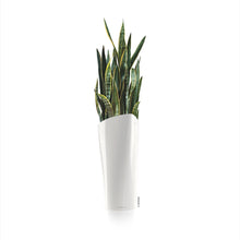 Lechuza Delta 30 White Self-Watering Planter