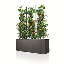 Lechuza Trio 30 Mocca  Self Watering Planter