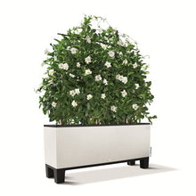 Lechuza Trio 40 White Rectangular Planter