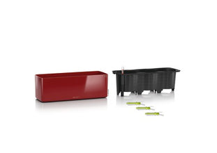 Lechuza Green Wall Home Kit Scarlet Self-Watering Planter