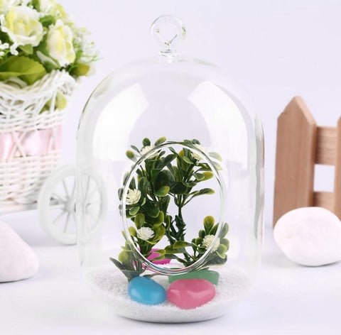 Hanging Oval Terrarium Bowl