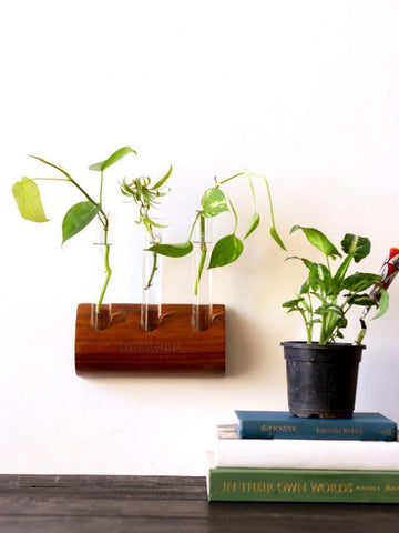 Timber Grove (Wall Mounted Test Tube Planter)