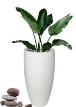 Fibre Rondo Planter White ( Marga CCN- 02)