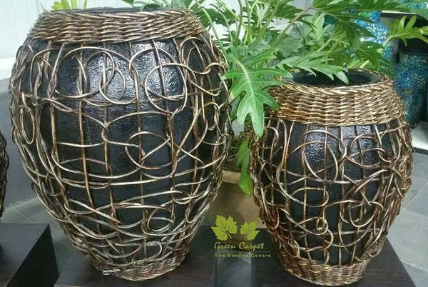 Terracotta Planters