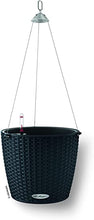 Lechuza Nido Dark Grey Self-Watering Planter