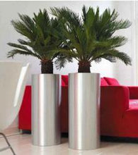 Steel Tall Planters 34056