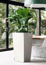 Lechuza CubicoLS 40 White Self-Watering Planter