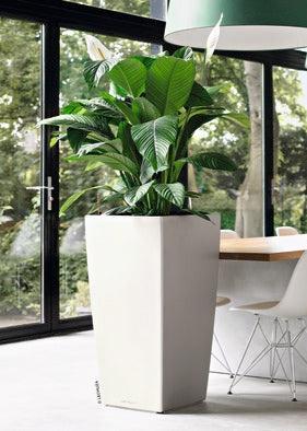 Lechuza CubicoLS 30 White Self-Watering Planter