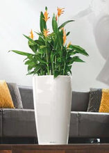 Lechuza RondoLS 32 White Self-Watering Planter