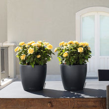 lechuza ClassicoLS 28 Charcoal Self-Watering Planter