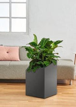 Lechuza  Cursivo 30 Charcoal Self-Watering Planter