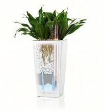 Lechuza Maxi Cubi Silver Self-Watering Planter